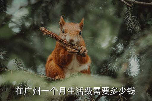 在廣州一天要用多少錢(qián),在廣州做廣漂一族