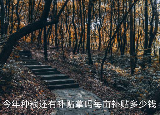 2018年浙江種糧補貼多少一畝,2020年糧食補貼情況如何