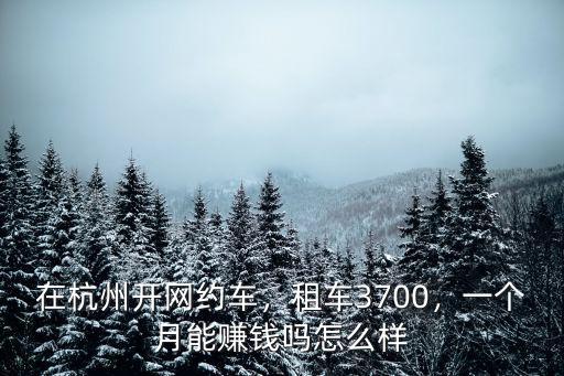 在杭州開出租車一個(gè)月多少錢,在杭州開網(wǎng)約車