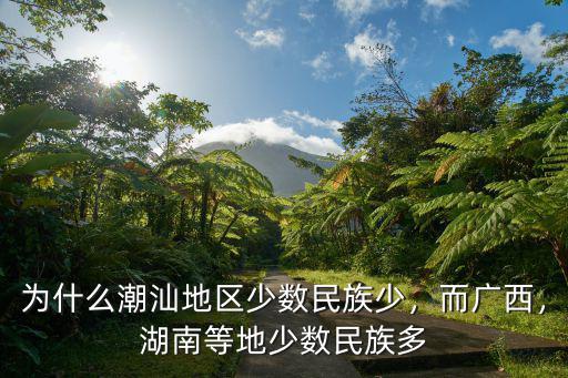 廣東少數(shù)民族聚居地是哪里,湖南等地少數(shù)民族多