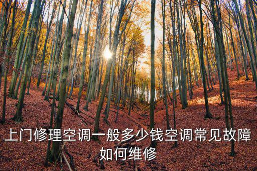 寧波維修空調上門服務多少錢,空調常見故障如何維修