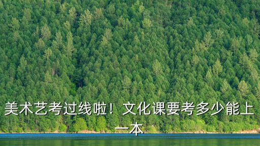 美術(shù)藝考過線啦！文化課要考多少能上一本