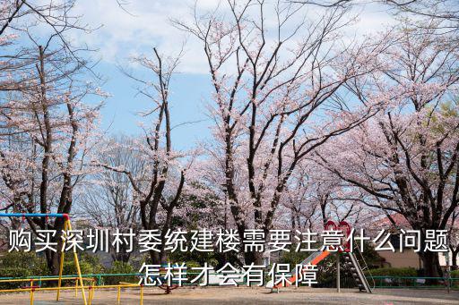 購買深圳村委統(tǒng)建樓需要注意什么問題怎樣才會有保障