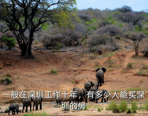 深圳安居房目前有多少人在排,一家五口在深圳排隊買安居房