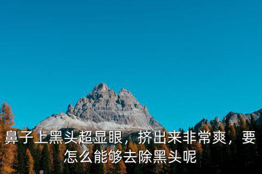 鼻子上黑頭超顯眼，擠出來非常爽，要怎么能夠去除黑頭呢