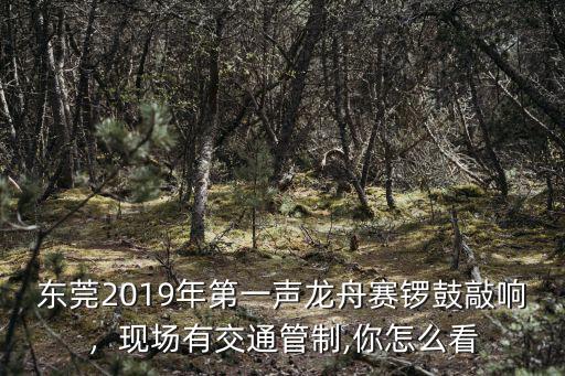 東莞龍舟怎么下水,東莞龍舟月啟動儀式舉行