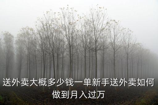 送外賣大概多少錢一單新手送外賣如何做到月入過萬