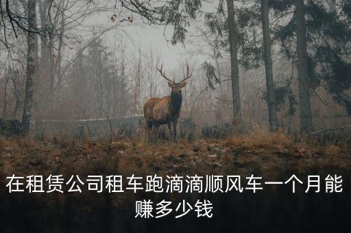 在租賃公司租車跑滴滴順風(fēng)車一個月能賺多少錢