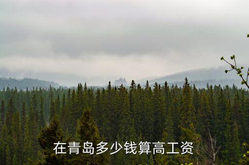 青島月入多少養家,月入1.2w在青島什么水平