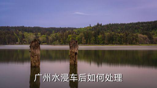 廣州水浸車后如何處理