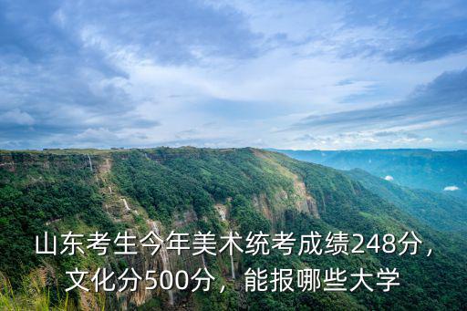 山東美術(shù)考生文綜多少分,山東省美術(shù)聯(lián)考考了225分