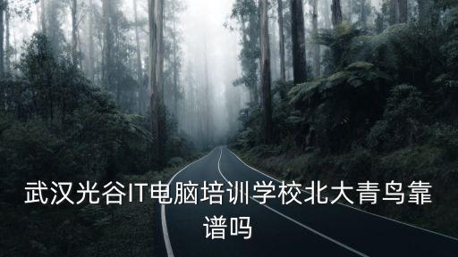 北大青島武漢光谷學校學費多少,武漢北大青鳥學費是多少