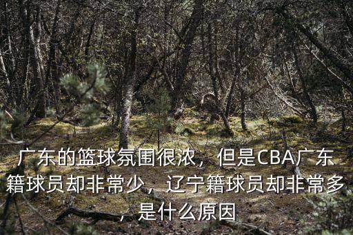 廣東遼寧哪里籃球氛圍好,廣東的籃球氛圍很濃