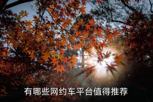 有哪些網(wǎng)約車平臺值得推薦
