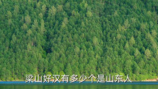 梁山好漢有多少個是山東人