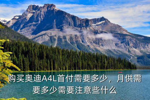 濟(jì)南奧迪A4L首付多少,購(gòu)買奧迪A4L首付需要多少