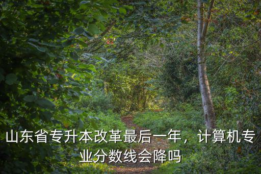 山東專升本三本分數線是多少,超分數線25分