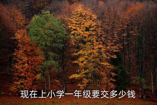 金華公辦小學學費一學期多少錢,六十年代上小學學雜費多少錢