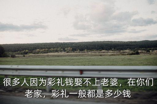 很多人因為彩禮錢娶不上老婆，在你們老家，彩禮一般都是多少錢