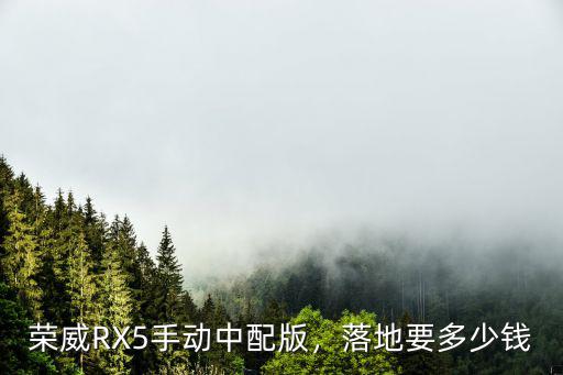 汕頭榮威rx 5落地多少錢,榮威RX5手動中配版