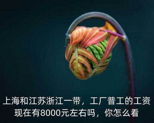 上海和江蘇浙江一帶，工廠普工的工資現(xiàn)在有8000元左右嗎，你怎么看