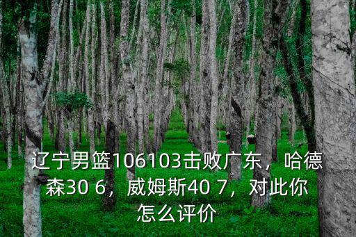 遼寧男籃106103擊敗廣東，哈德森30 6，威姆斯40 7，對此你怎么評價