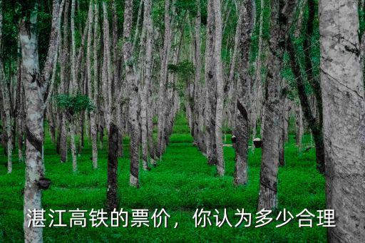 湛江高鐵的票價，你認為多少合理