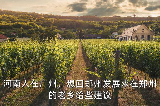 在廣州的河南人有多少,2500萬外出務(wù)工的河南人