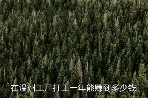在溫州工廠打工一年能賺到多少錢