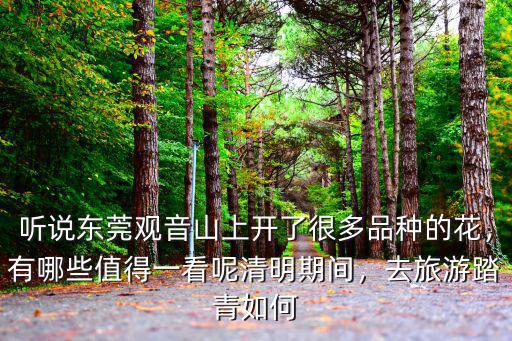 東莞觀音山旅游去哪里,想去東莞觀音山約會