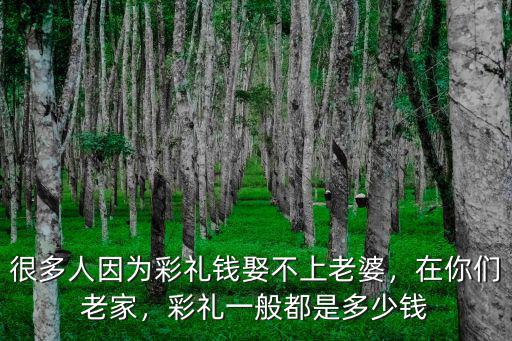 濰坊定親彩禮錢(qián)多少,濟(jì)南姑娘定親彩禮錢(qián)是多少