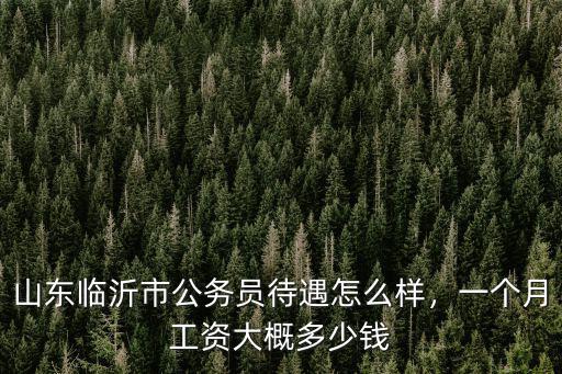 臨沂市打工租房子多少錢一個月,山東臨沂市公務員待遇怎么樣