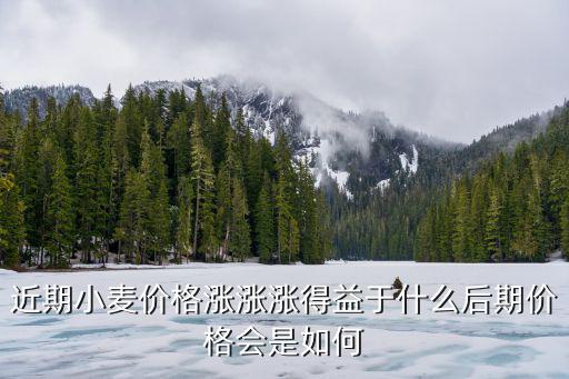 山東禹城小麥價格是多少,小麥價格現在多少錢一斤