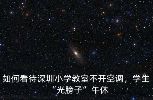 深圳連南小學(xué)怎么樣,深圳哪里的小學(xué)學(xué)位比較好