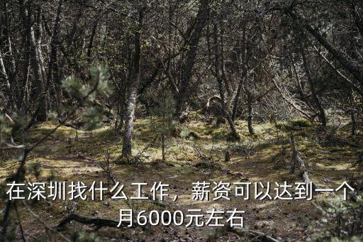 雙休6千塊一個(gè)月在深圳怎么樣,在深圳一個(gè)月才八九千塊錢(qián)