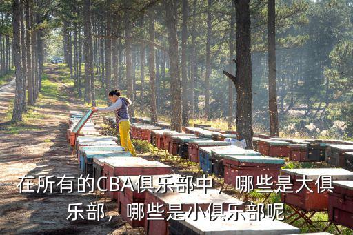 廣州CBA俱樂(lè)部在哪里,在所有的CBA俱樂(lè)部中