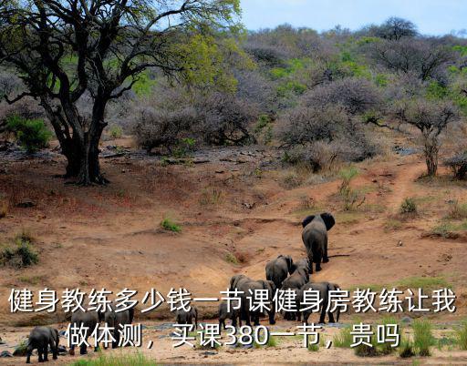 杭州健身房私教課一節(jié)多少錢,健身教練多少錢一節(jié)課