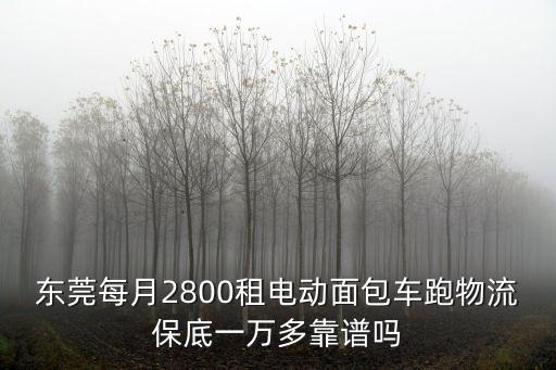 東莞每月2800租電動(dòng)面包車(chē)跑物流保底一萬(wàn)多靠譜嗎