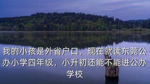 外地人怎么上東莞公辦小學(xué),現(xiàn)在就讀東莞公辦小學(xué)四年級(jí)