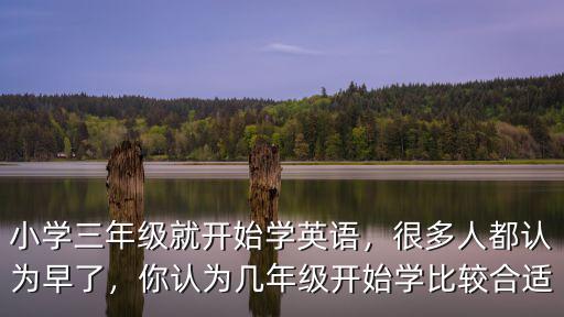深圳小學生學英語一節(jié)課多少錢,深圳小學生英語機構怎么樣