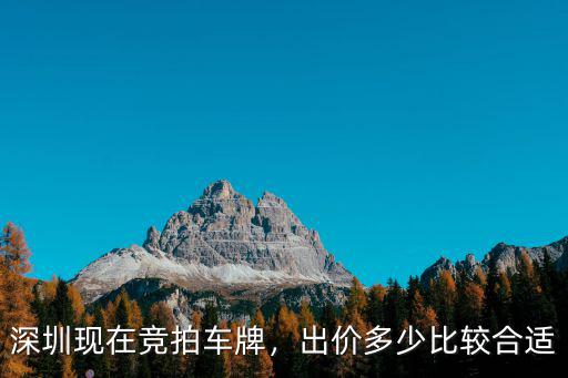 深圳現在競拍車牌，出價多少比較合適