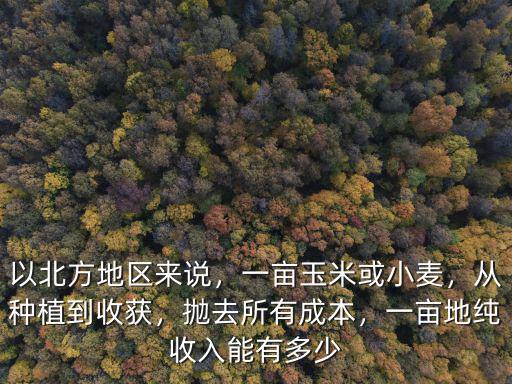 以北方地區(qū)來說，一畝玉米或小麥，從種植到收獲，拋去所有成本，一畝地純收入能有多少