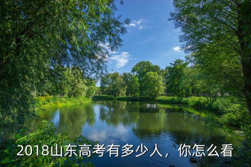 2018山東高考有多少人，你怎么看