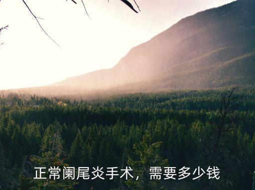 珠海上沖醫院闌尾炎手術多少錢,現在做闌尾手術需要多少錢