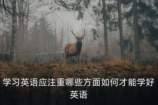 學(xué)習(xí)英語(yǔ)應(yīng)注重哪些方面如何才能學(xué)好英語(yǔ)