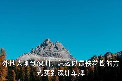 外地人剛到深圳，怎么以最快花錢的方式買到深圳車牌