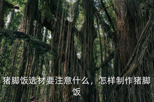 豬腳飯選材要注意什么，怎樣制作豬腳飯