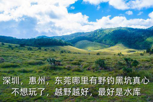 惠州哪里野炊釣魚,惠州博羅有哪些景點推薦