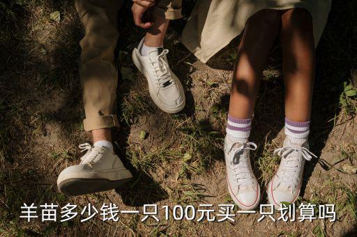 惠州羊多少錢一只,100元買一只劃算嗎