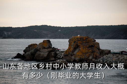 山東各地區(qū)鄉(xiāng)村中小學(xué)教師月收入大概有多少（剛畢業(yè)的大學(xué)生）